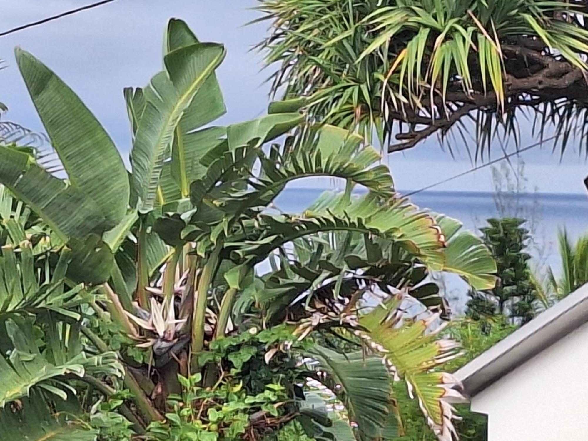 L'Etoile Du Piton Villa Saint-Joseph Exteriör bild